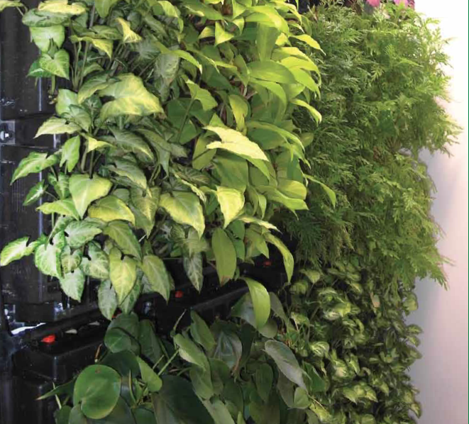 PlanterCell® 75 - Cassette type system for green wall
